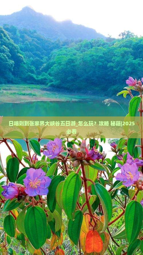日喀则到张家界大峡谷五日游