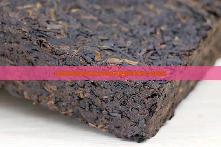 云南普洱茶饼购买价格指南