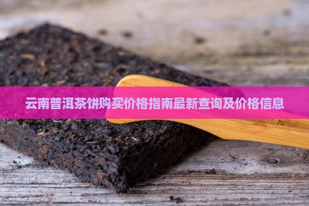 云南普洱茶饼购买价格指南