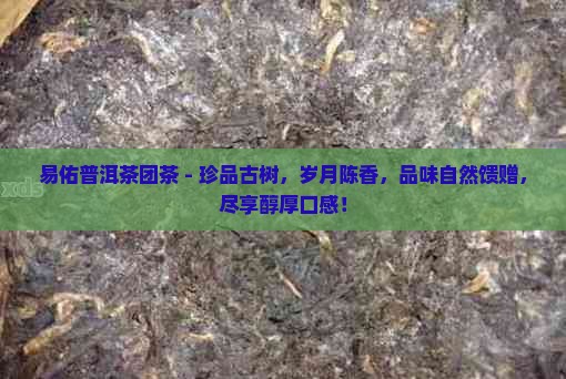 易佑普洱茶团茶