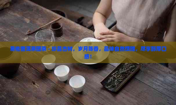 易佑普洱茶团茶