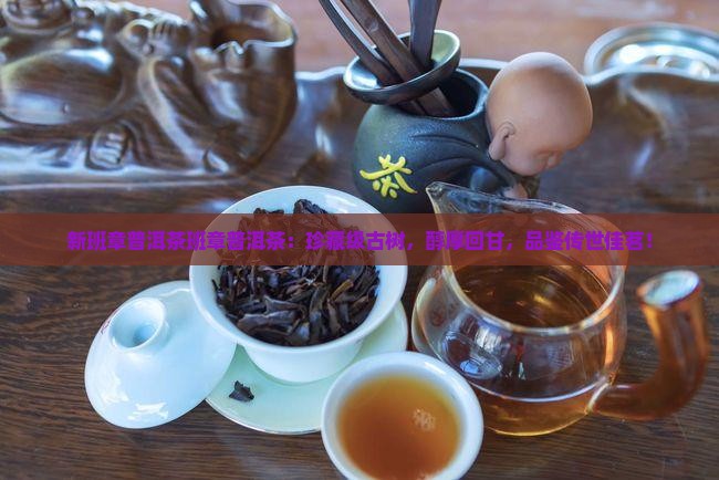 新班章普洱茶班章普洱茶