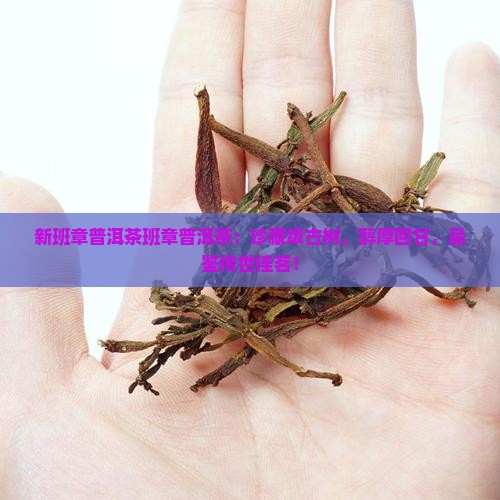 新班章普洱茶班章普洱茶